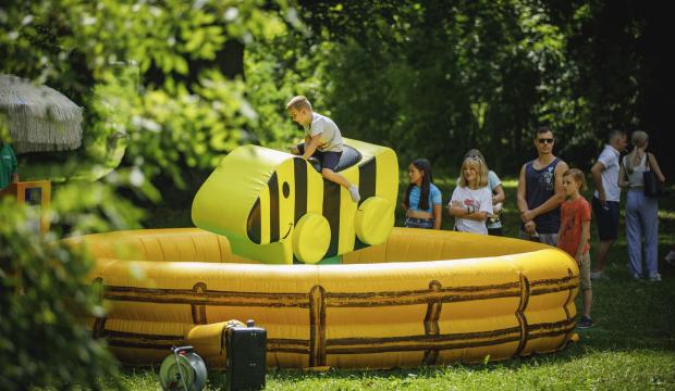 Tiger Enten Rodeo mit Kind